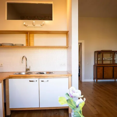 Apartment Gut Alt Necheln